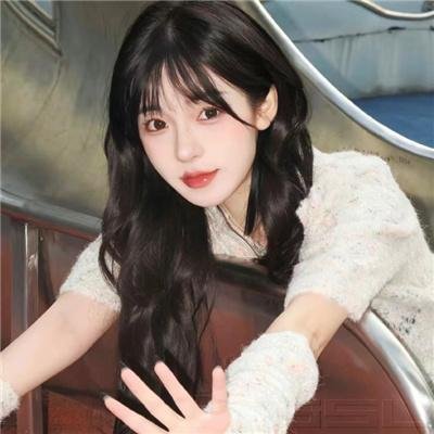 麒麟之翼